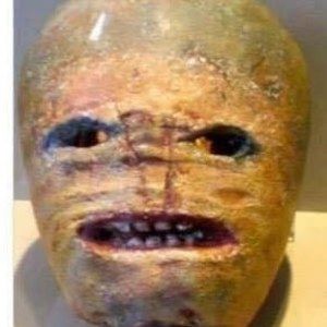 Meet your Posher, Deb